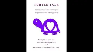 Episode 26 | A Volunteer, a Miracle, and Morgan&rsquo;s Light | Turtle Talk Podcast