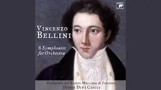 Sinfonia in Si Bemolle Maggiore: Allegro