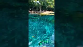 CR&Aacute;TER AZUL, PET&Eacute;N, GUATEMALA