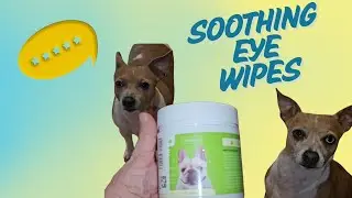 Good Dog eye wipes