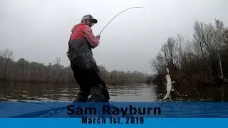 Bass Fishing on Sam Rayburn Pre-Fishing Episode #3 - FEB 2019