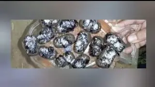 quick and easy # chocolate 🍫 cookies roll #youtube #cooking #@namta daily food...#desi ....🍫🍫🍫🍫