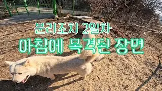분리 조치 2일 차, 아침에 목격된 장면