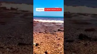 Beautiful beach in Iran #nature #iran