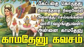 கேட்டதை கொடுத்து நினைத்ததை நிறைவேற்றி அனைத்து செல்வங்களை  வழங்கும் காமதேனு கவசம் | Apoorva Videos