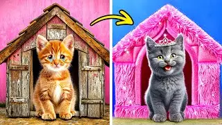 I saved Pure Kitten! Gadgets & Hacks for your Pets | Secret DIY House by 123 GO!