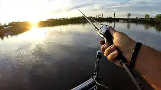 New PERSONAL BEST Caught in a Tournament!!! (Surprise Catch)