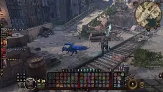 Baldur's Gate 3 - Drakewarden + Draconic Gifts v1.4 Preview