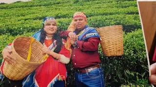 kerala | Ooty | Tea Garden Photo