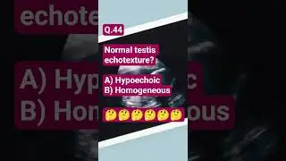 #shorts #shortvideo #2026 #ultrasound #imaging #radiology #sono #sonography #quiz #mcq #logicpuzzle
