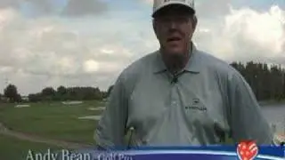 Birdies for the Brave