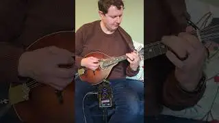 Zoom H6 Studio - Autumn Leaves Mandolin Demo