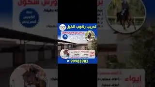 برنامج مربط (nine.horses)🔥