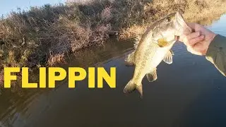 Fishing with Marines in Yuma Arizona | #bassfishingarizona #YumaFishing #Arizona