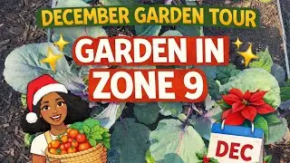 December Garden Tour | Fall Veggies Thriving & Roselle Hibiscus on the Way Out