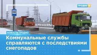 Обильные снегопады в Гродно продолжаются
