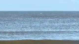 Beloega/ Beluga at Petten