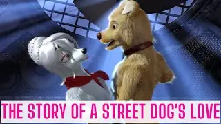 Гудамжны нохойн хайрын түүх | The story of a street dog's love | Roadside Romeo Movie Scenes