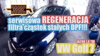 Serwisowa REGENERACJA filtra cząstek stałych DPF EA288 VW Golf 7 1.6 TDI CLHA