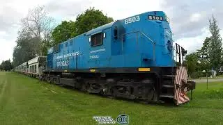 Movimiento de un día jueves: 9445, 8511, 9464 y 8503.. #trenesargentinoscargas 