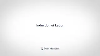 Induction of Labor | Supporting Your Pregnancy Journey
