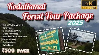 🌲₹500 Forest Tour Kodaikanal - Group Package &ndash; 7 Hidden Mystery Spots in Kodaikanal! 😲🧭