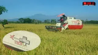 KOMBI SAWAH MAXXI BIMO XTREME PLUS 110L