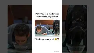 POV: She said I&rsquo;m not even on the dog&rsquo;s level 🐕💀 #shorts #meme #doglevel #challengeaccepted #pov