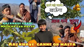 लक्की ने गन्ने चुराए 😱full video in village  #viral #subscribe #village #uttrakhand #india #vlogger 