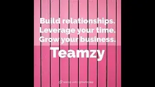 Teamzy Experience