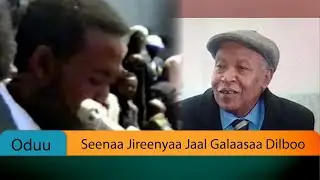 Seenaa Jireenyaa Jaal Galaasaa Dilboo