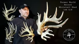 Former World Record Whitetail Shed Antler 148 6/8 Kansas 4+ Pound Antler 