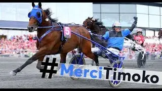 PROMO:HONOURING TIMOKO  |  VICTORIA PARK WOLVEGA