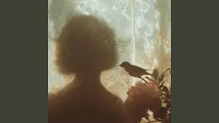 İ&ccedil;erin Bah&ccedil;e Midir
