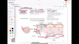 pulmonary hypertension pharmacological treatment #Respiratory Last | First Aid USMLE Step 1
