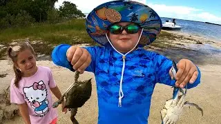 Discovering Sea Creatures and Ancient Shell Mounds in New Smyrna!