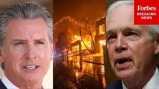 JUST IN: Ron Johnson Leads Senate Homeland Security Committee Hearing On The Palisades Fire