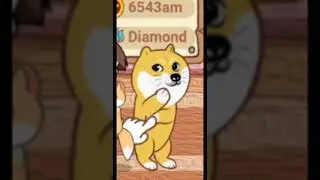 KATTA YOLG'ON! CATIZEN SCAM