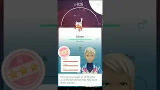 Oh My God ! SHUNDO LITTEN in LITTEN COMMUNITY DAY ✨✨ #communityday #litten #shundopokemon