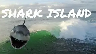 Shark Island Cronulla