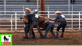 Wild Cow Milking - 2020 Colorado Championship Ranch Rodeo (Friday)