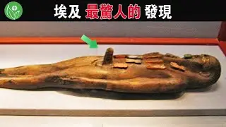 震驚全世界的古埃及發現｜難以置信的考古發現｜古埃及的未解之謎【探索旅行號】