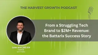 From a Struggling Tech Brand to $2M+ Revenue: the Battarix Success Story