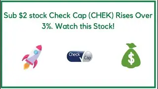 Sub $2 Stock Check Cap (CHEK) Rises Over 3%. Watch This Stock!