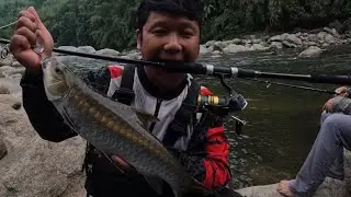 Lure Fishing, Reel Shimano FX3000, Major Craft Indra perfect 🎣🎣🎣 226