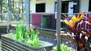 CityStudio Logan: Loganlea High Urban Farm and Indigenous Food Forest Project