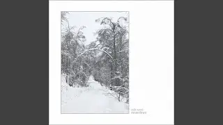 Eiswanderer