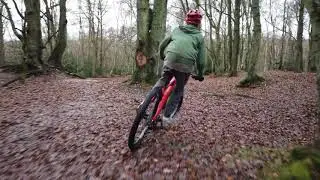 Silchester Bike Jumps ('Monkey Bumps