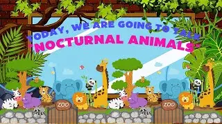 Animals Nighttime Activities | Cartoon Constellations | cartoon for kids | videos for kids