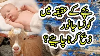 Bachay kay aqeeqa k janwar ki umar kitni honi chahye | new bayaan
